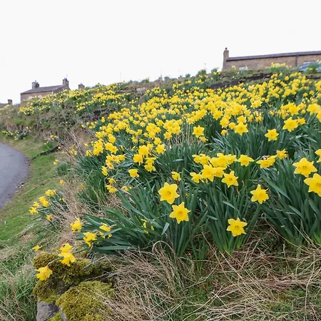 펜션 Bridge House 호스